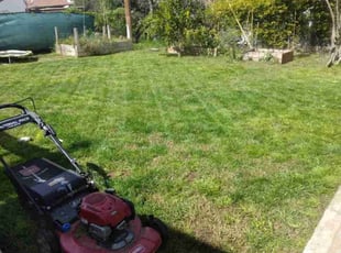 Marlene R.'s Yard Cutting service result