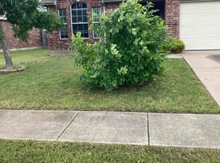 Cleanups by Noe Montiel for Mikayla A. in Forney, TX