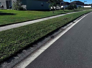 Kim G.'s Lawn Mowing service result