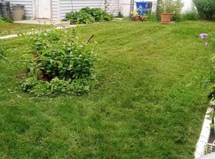 Melissa M.'s Lawn Mowing service result