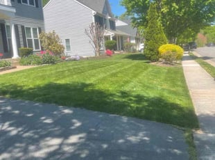 Aaron R.'s Yard Cutting service result