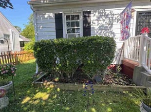 Bush Trimming by Joshua West for Juliana B. in Richmond, VA