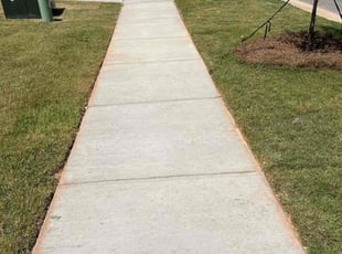 Sundeep E.'s Lawn Mowing service result
