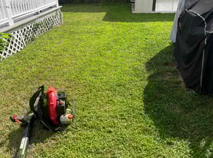 Tammy Y.'s Lawn Mowing Service service result
