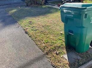 Leaf Removal by LaWanda Moses for Jennifer D. in Richmond, VA