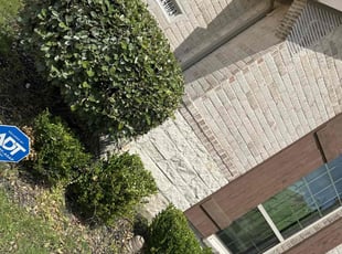 Bush Trimming by Patrick Stewart for Tunde O. in Frisco, TX