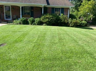 Whitney E.'s Lawn Care service result
