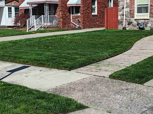 Betty R.'s Lawn Mowing Service service result
