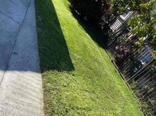 Giselle R.'s Lawn Care service result