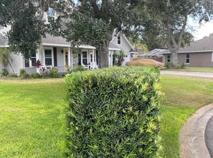 Bush Trimming by Johnny Richardson for Toms R. in Winter Haven, FL