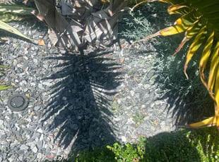Weeding by Michael Smith for Bridget H. in Fort Lauderdale, FL