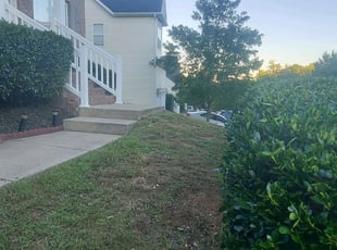 Bush Trimming by Isaiah Cuthbertson for Yeiza L. in Charlotte, NC