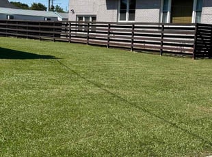 Danette B.'s Lawn Mowing Service service result