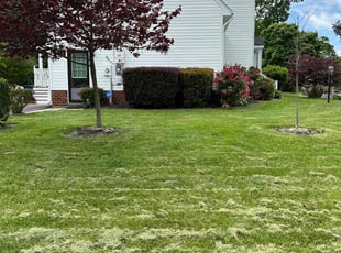 Bush Trimming by Jermaine West for Teresa K. in Midlothian, VA