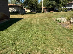 Michael G.'s Yard Cutting service result