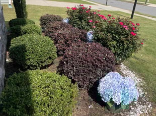Bush Trimming by Mark Perugini for Pamela B. in Cartersville, GA
