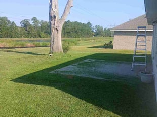 Darlene C.'s Lawn Mowing Service service result