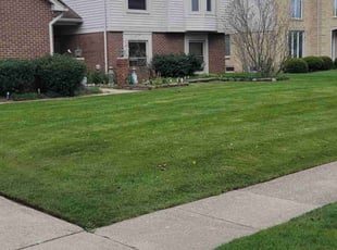 Sheri F.'s Grass Cutting service result