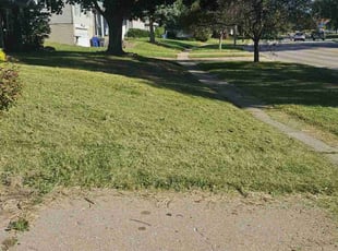 Scott R.'s Lawn Mowing service result
