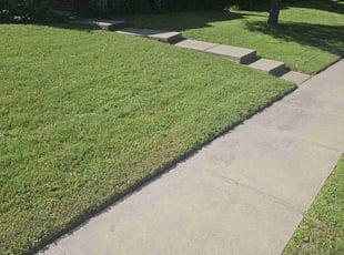 Swaresh B.'s Lawn Service service result
