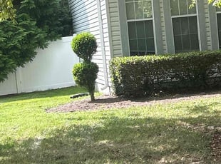 Bush Trimming by Martin Stovall for Bradley D. in Suffolk, VA