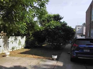Weeding by Daquan Samuels for David B. in Queens, NY
