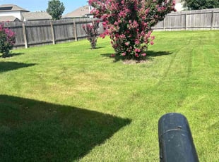 Cleanups by Martin Van den Boogerd for Hayden S. in San Marcos, TX