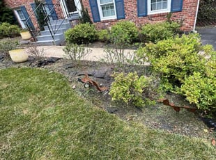 Weeding by Fidel Rodriguez for William H. in Alexandria, VA