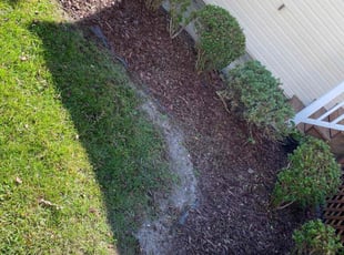 Weeding by Brandon Russell for Deitre S. in Chesapeake, VA