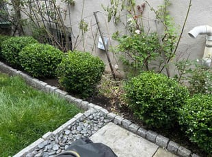 Bush Trimming by Eddie Morales for Jo S. in Philadelphia, PA