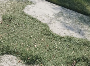 Cleanups by Marc Martinez for Yvonne W. in Tampa, FL