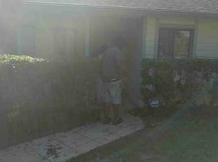 Bush Trimming by Marvel Carmichael for Chris F. in Orlando, FL