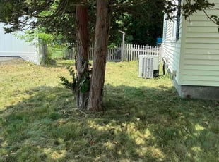 Leaf Removal by Jared Ravagni for Chris S. in Lawrence, MA