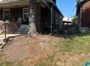 Leaf Removal by calvin lang for Edward H. in St. Louis, MO