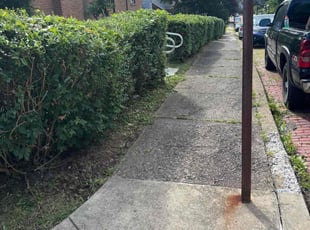 Bush Trimming by David Rasulov for Andrea C. in Pittsburgh, PA