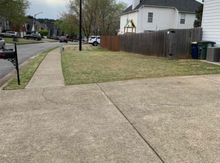Michael L.'s Lawn Care service result