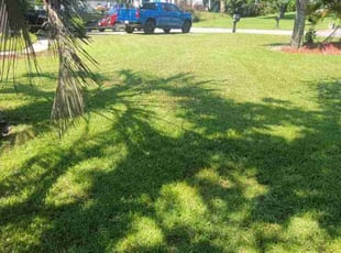 Lisa J.'s Lawn Service service result