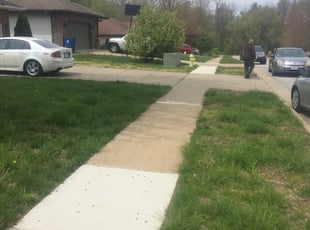 Cleanups by Brandon McDonald for Bailey M. in Springfield, MO
