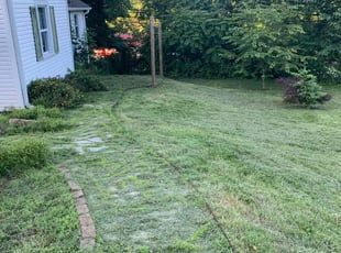 Leondra B.'s Lawn Service service result