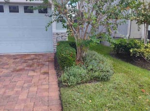 Bush Trimming by Robert Dixon for Melissa G. in Kissimmee, FL
