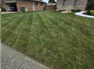 Sharlyn P.'s Lawn Service service result