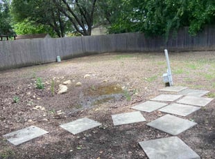 Leaf Removal by Shameem Mohmand for Valerie S. in Fort Worth, TX