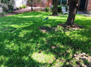 Christopher B.'s Lawn Maintenance service result