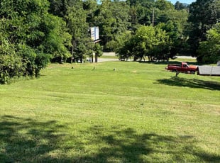 Darryl L.'s Lawn Mowing service result