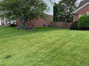 Ana M.'s Lawn Maintenance service result