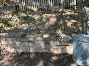 Leaf Removal by Bobbeth Fray for Raymond T. in Parkville, MD