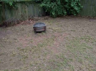 Leaf Removal by Jamaar Waddler for Mel M. in Norfolk, VA