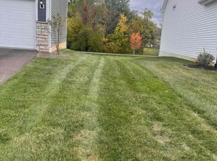 Jenna S.'s Grass Cutting service result