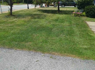 Maria S.'s Lawn Mowing service result