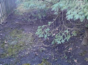 Cleanups by Marcus Williams for Valerie T. in Lyndhurst, OH